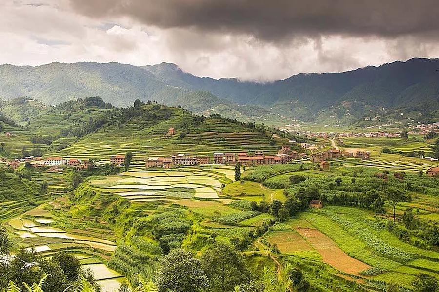 Photo: Valleys of Paddy Fields by Sharad Prasad CS Licence: CC BY-NC-ND 2.0